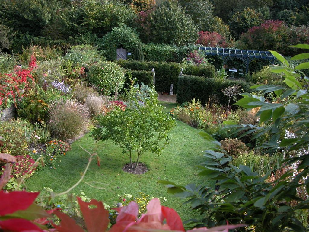 Milebrook House Bed and Breakfast Knighton  Værelse billede