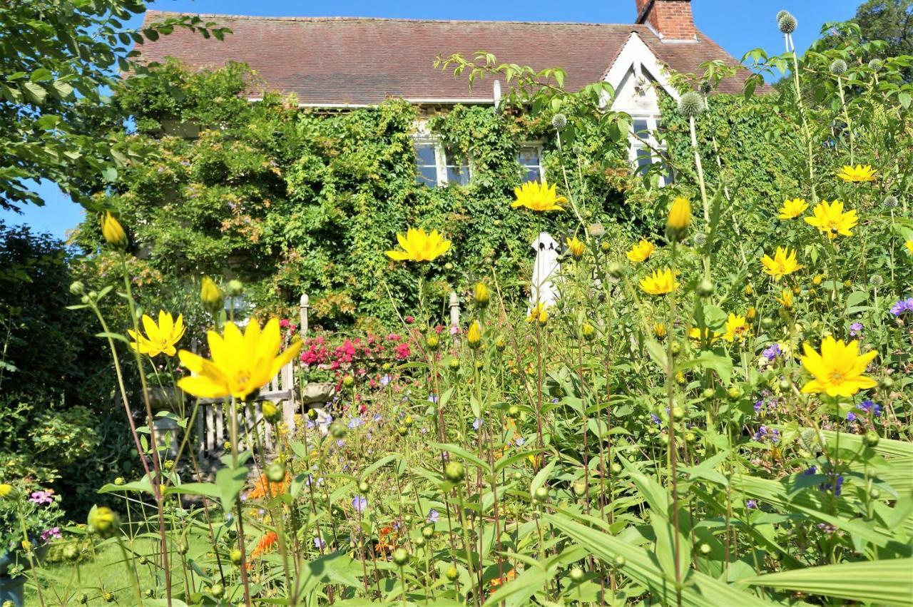 Milebrook House Bed and Breakfast Knighton  Eksteriør billede